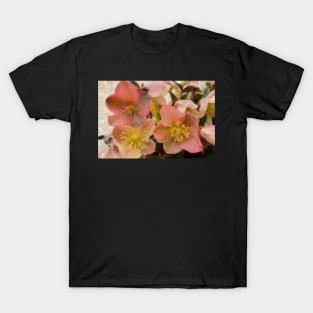 Hellebore Galore T-Shirt